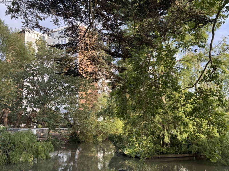 The Grange tower and mature trees reflected beside the estate lake