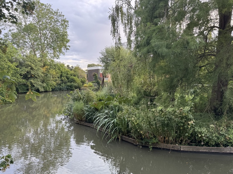 The Grange pond surrounded by lush planting and mature trees